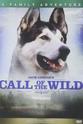 Chas Harisson Call of the Wild