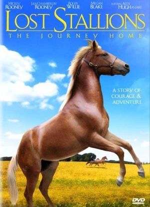 Lost Stallions: The Journey Home海报封面图