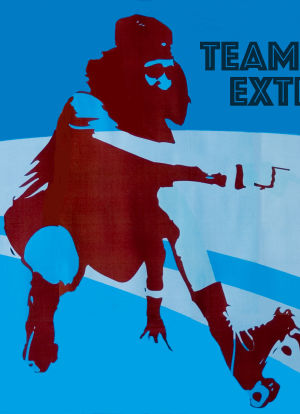 Team Extreme海报封面图