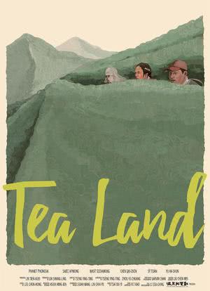 高山上的茶园海报封面图