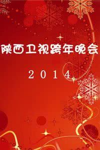 陕西卫视跨年晚会 2014海报封面图