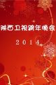 刘鹏程 陕西卫视跨年晚会 2014