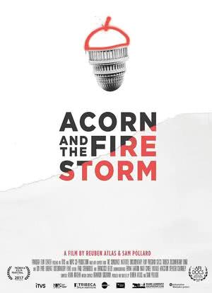 Acorn and the Firestorm海报封面图