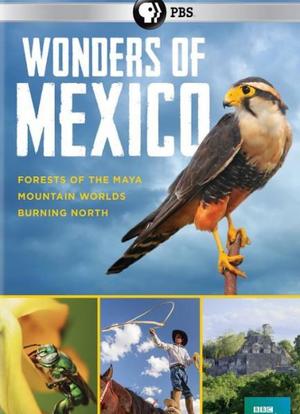 Wonders of Mexico Season 1海报封面图