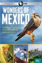 迈克·马登 Wonders of Mexico Season 1