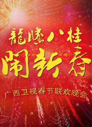 广西卫视春节联欢晚会 2012海报封面图