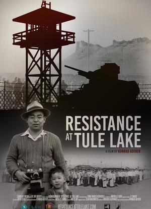 resistance at tule lake海报封面图