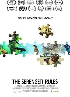 Serengeti Rules海报封面图