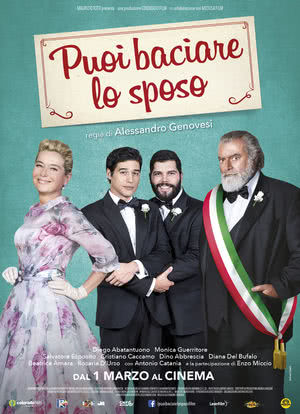 我盛大的意大利同志婚礼海报封面图