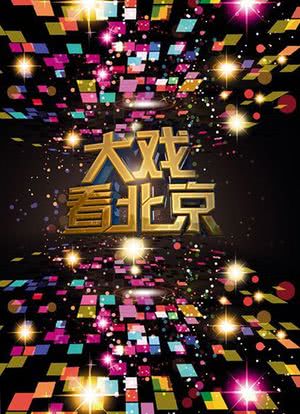 大戏看北京 2013海报封面图