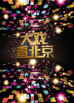 大戏看北京 2014海报封面图
