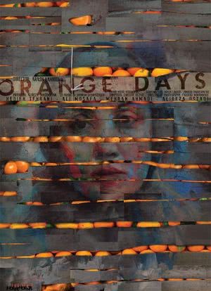 橙之日海报封面图
