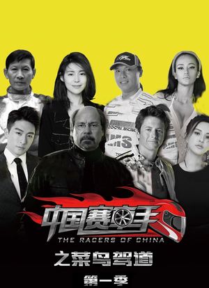 中国赛车手之菜鸟驾道海报封面图