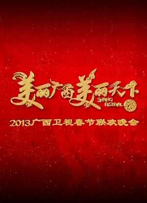 广西卫视春节联欢晚会 2013海报封面图