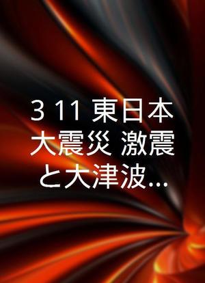 3.11 東日本大震災 激震と大津波の記録海报封面图