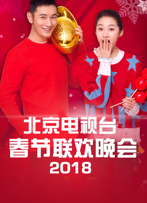 2018年北京台春晚海报封面图