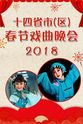王丹红 十四省市（区）春节戏曲晚会 2018