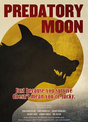 掠夺月亮海报封面图