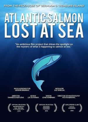 Atlantic Salmon: Lost at Sea海报封面图