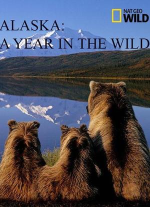 阿拉斯加：荒野年轮 第一季海报封面图