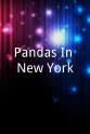 Ajay Sahgal Pandas In New York