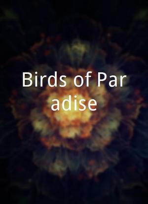 Birds of Paradise海报封面图