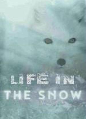 雪域中的生命海报封面图