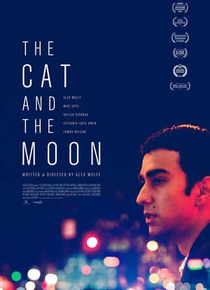 猫与月亮海报封面图