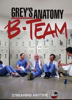 Grey's Anatomy: B-Team Season 1海报封面图