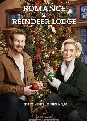 Romance at Reindeer Lodge海报封面图