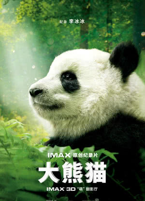 大熊猫海报封面图