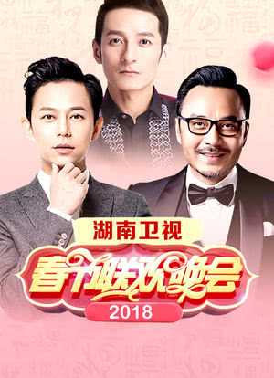 2018湖南卫视春节联欢晚会海报封面图