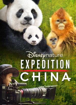 探险中国海报封面图