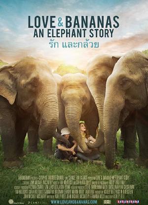 爱与香蕉：大象的故事海报封面图
