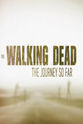 Jonathan R. Ayers The Walking Dead: The Journey So Far