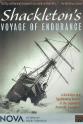 Paul Goodwin Shackleton's Voyage of Endurance