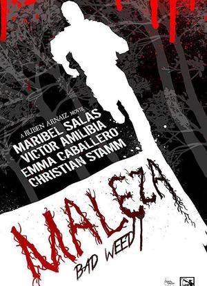 Maleza海报封面图