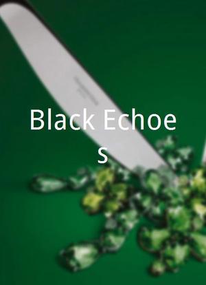 Black Echoes海报封面图