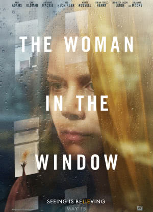 窗里的女人海报封面图
