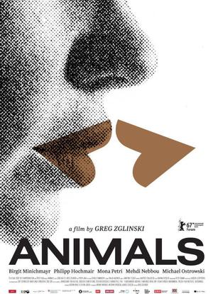 动物海报封面图