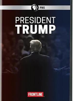 特朗普总统海报封面图