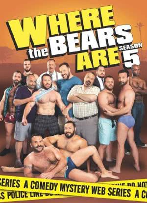 熊熊在哪里 第五季海报封面图