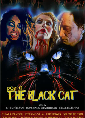 POE 4: The Black Cat海报封面图