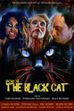 Stefano Sala POE 4: The Black Cat