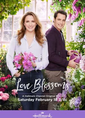 Love Blossoms海报封面图