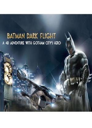 蝙蝠侠：夜神飞驰海报封面图