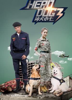 神犬小七 第三季海报封面图