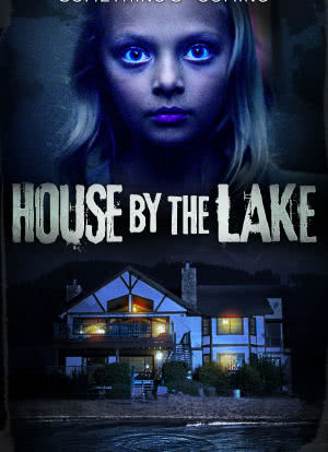 湖边的房子海报封面图
