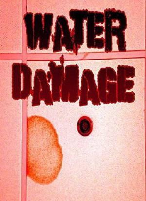 Water Damage海报封面图