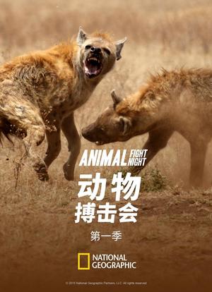 动物搏击会 第一季海报封面图